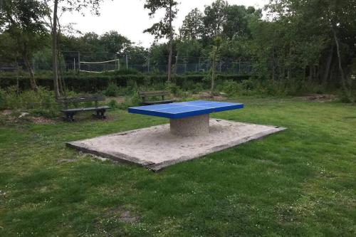 a blue table in the middle of a field at Chalet Bergen NH, Schoorl, Schoorldam in Warmenhuizen