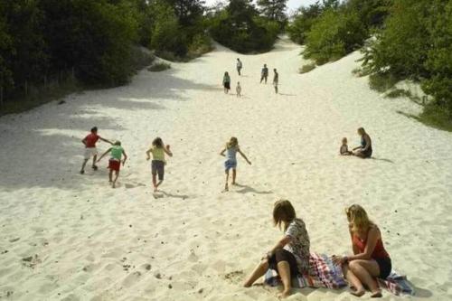 a group of people playing in the sand on the beach at Chalet Bergen NH, Schoorl, Schoorldam in Warmenhuizen
