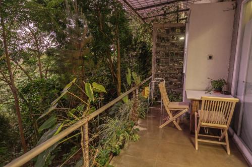 Сад в Ruth's Bed & Breakfast