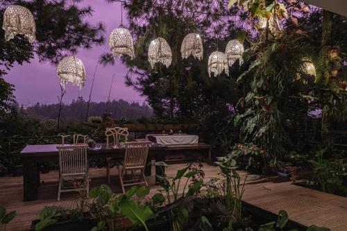 Сад в Ruth's Bed & Breakfast