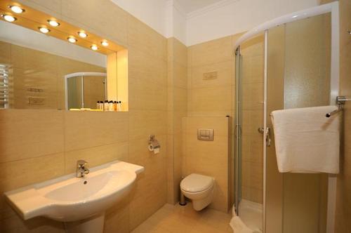 W łazience znajduje się umywalka, toaleta i prysznic. w obiekcie Hotel Salamandra w mieście Hoczew