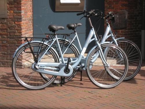 
a bike parked next to a brick wall at Bed & Breakfast Hotel Malts in Haarlem
