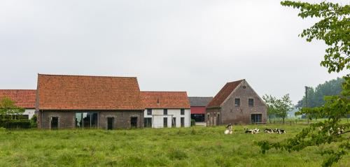 a group of animals grazing in a field next to buildings at De Grote Linde in Oostkamp