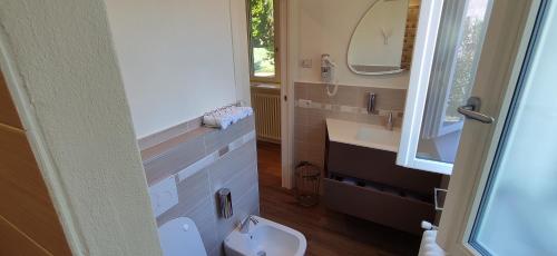 a bathroom with a toilet and a sink and a mirror at Amata Valgre Affittacamere, comfort e pulizia eccezionali!! in Olginate
