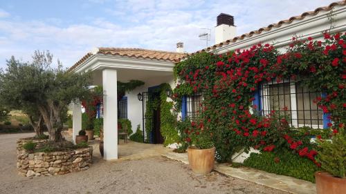 Finca El Romeral, Alpera – Bijgewerkte prijzen 2023