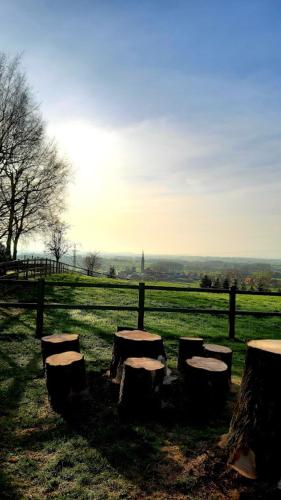 a group of stools sitting in a field at De Rieke in Ronse