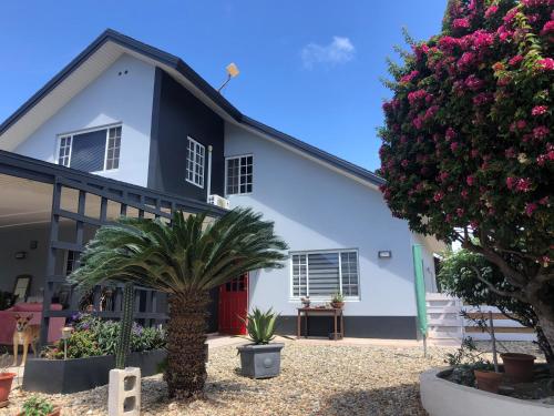 una casa bianca con una palma di fronte di Palmhouse Apartments Aruba 1- 4 persons a Savaneta