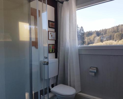 a bathroom with a toilet and a window at Living Legends - Tiny House auf den Wiesen der Edermühle in Grosspertholz