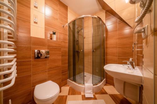 a bathroom with a shower and a toilet and a sink at Willa u Zwijaczy in Zakopane