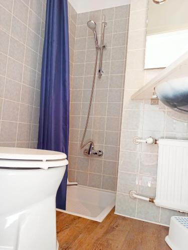 a bathroom with a toilet and a shower at Walpurgis Hexe in Braunlage
