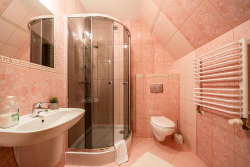 a bathroom with a shower and a sink and a toilet at Willa u Zwijaczy in Zakopane