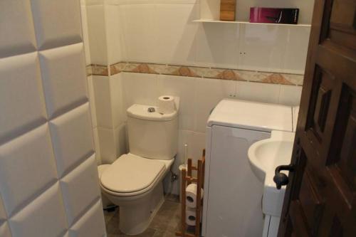 La petite salle de bains est pourvue de toilettes et d'un lavabo. dans l'établissement CHIMENEAS 604, à Nerja