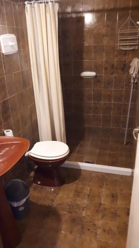 a bathroom with a toilet and a shower at Hostel Joy in El Bolsón