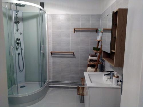 a bathroom with a shower and a sink at Grand studio, super équipé, 2 pas du centre-ville "clos-du-boulanger" - parking privé in Montbéliard
