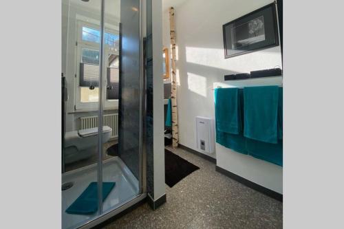 a bathroom with a glass shower and a sink at CASA UNA im Herzen von Bad Kreuznach in Bad Kreuznach