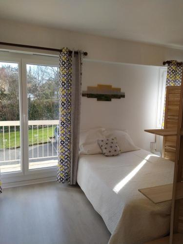 een slaapkamer met een bed en een groot raam bij Grand studio, super équipé, 2 pas du centre-ville "clos-du-boulanger" in Montbéliard