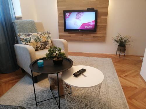 a living room with a chair and a tv at Small (34m2) modern apartment with parking place in Sarajevo