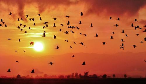 Gambar di galeri bagi Encarni di Riumar