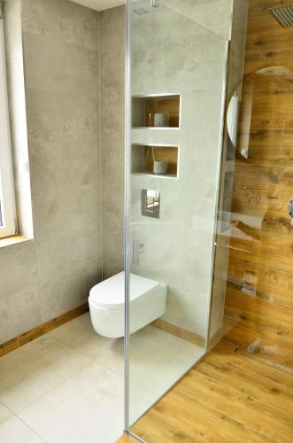 a bathroom with a toilet and a glass shower at Sieburczynianka in Wizna