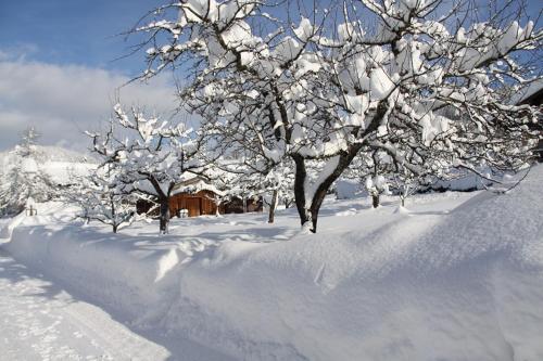 a snow covered yard with trees covered in snow at Menkenhof in Reit im Winkl