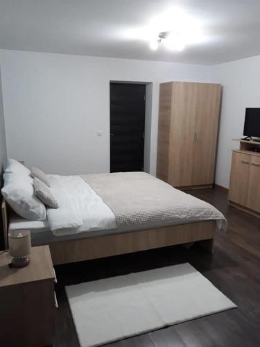 a bedroom with a bed and a desk and a television at Pensiunea La Buru in Căraciu