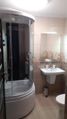 a bathroom with a shower and a sink at Pensiunea La Buru in Căraciu
