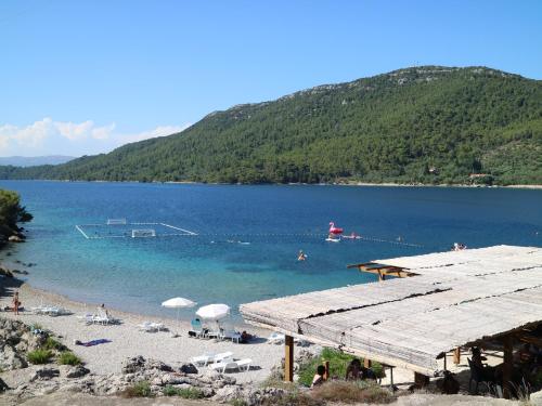 a beach with a dock and a body of water at Studio Apartments & Rooms Lela, Sipan island in Šipanska Luka