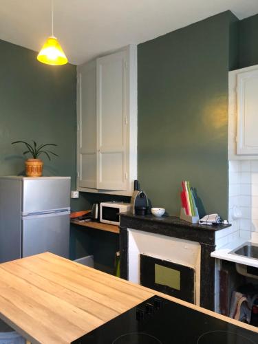a kitchen with a white refrigerator and a counter top at La maison des amis in Nuits