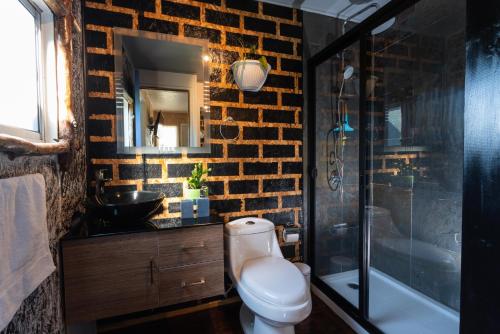 a bathroom with a toilet and a sink and a mirror at Cabañas ChiloeisLife Countryside in Castro