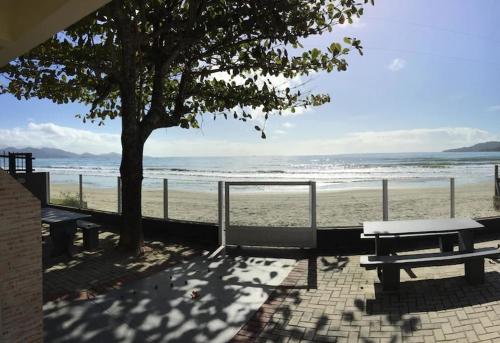 a picnic table and a tree on the beach at Cobertura Frente Mar in Porto Belo