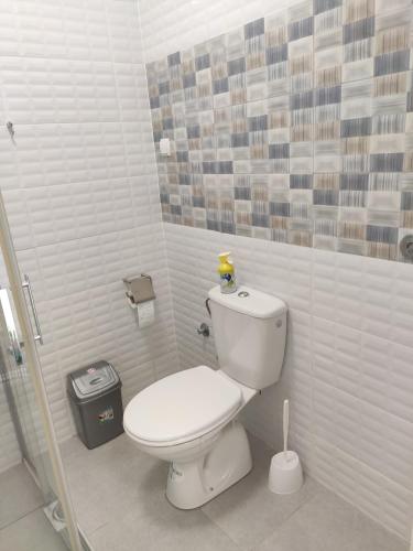 a bathroom with a white toilet and a shower at Villa Ivanovi in Ohrid