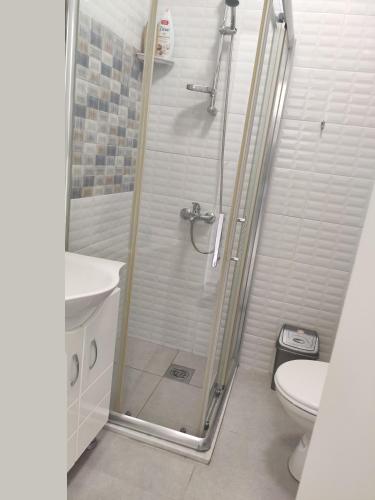 a bathroom with a shower and a toilet at Villa Ivanovi in Ohrid