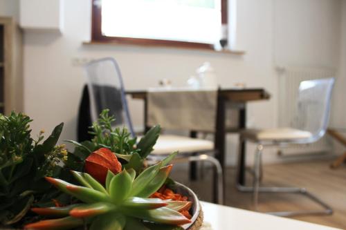 a potted plant sitting on top of a table at Ferienwohnung Landlust Wolfenbüttel in Klein Denkte