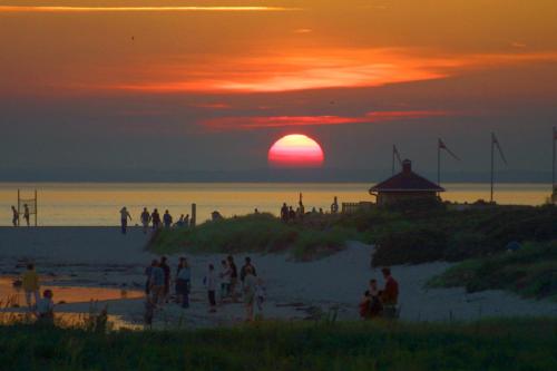 a group of people on the beach at sunset at Bogense Feriebo in Bogense