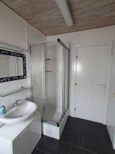 a white bathroom with a shower and a sink at Silbersee90 in Frielendorf