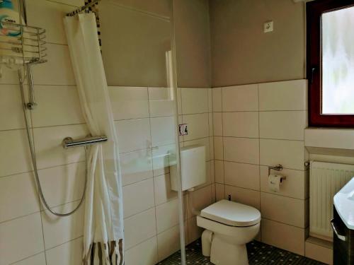 a bathroom with a toilet and a shower at Ferienwohnung Rheinzeit beim Toni mit Terrasse und Balkon mit Rheinblick in Boppard