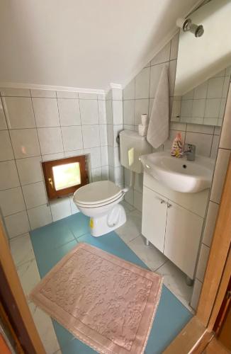 a small bathroom with a toilet and a sink at Jezero Sniježnica - Vikendica in Sniježnica