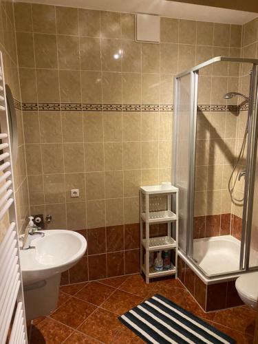 a bathroom with a sink and a shower and a toilet at Ferienwohnung am Holzwurm in Riesa