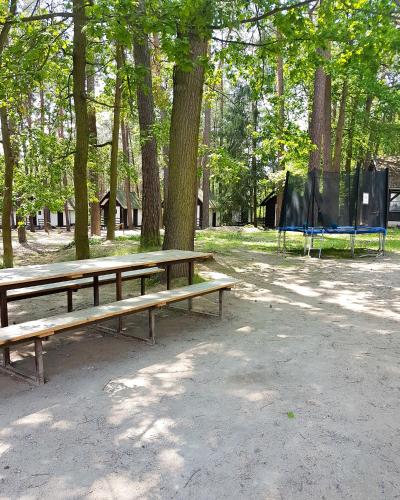 two wooden benches in a park with trees at Penzion Zelený Háj in Merklín