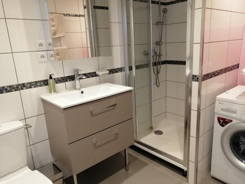 une salle de bain avec un lavabo et une douche dans l'établissement T3 à Saint cyprien plage (400m de la plage), à Saint-Cyprien
