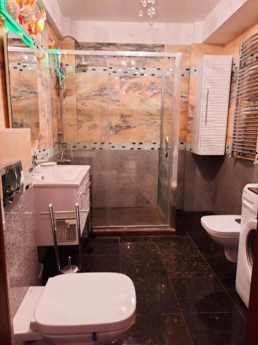 ママイアにあるApartament Sandreのバスルーム(トイレ、シャワー付)