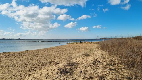 a sandy beach with a body of water at Beach Hotel Oostvoorne in Oostvoorne