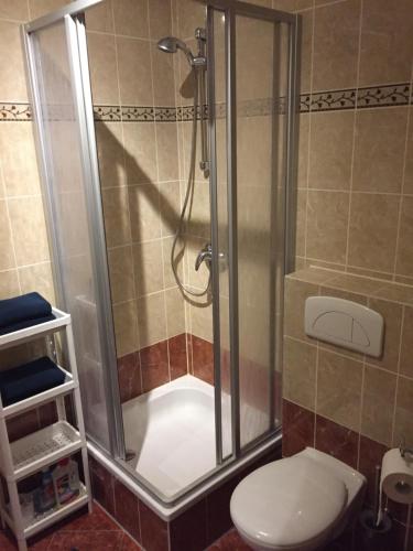 a bathroom with a shower with a toilet at Ferienwohnung am Holzwurm in Riesa