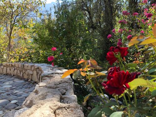 a garden with roses and a stone path at Casa de Montaña inmersa en Bosque Nativo in San José de Maipo