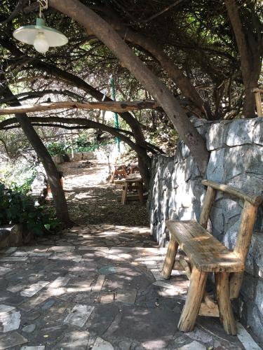 a wooden bench sitting next to a stone wall at Casa de Montaña inmersa en Bosque Nativo in San José de Maipo