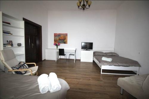 1 dormitorio con 2 camas y sala de estar en Simplicity Apartment - Lublin City Center, en Lublin