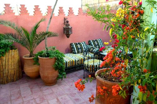 Taman di luar Riad Sesame