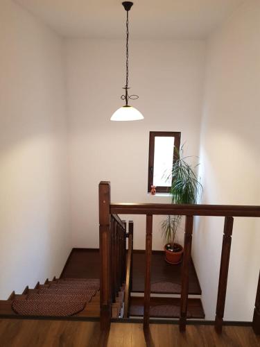 a stairwell with a table and a mirror and a plant at Pensiunea Casa Lupas in Gilău