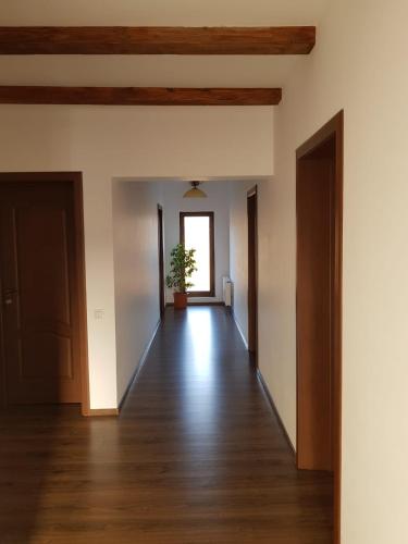 a hallway of an empty room with a potted plant at Pensiunea Casa Lupas in Gilău
