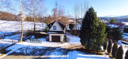 une petite maison dans la neige avec un arbre dans l'établissement Domek pod Brzozami - zniżki na Termy Bania!, à Czarna Góra